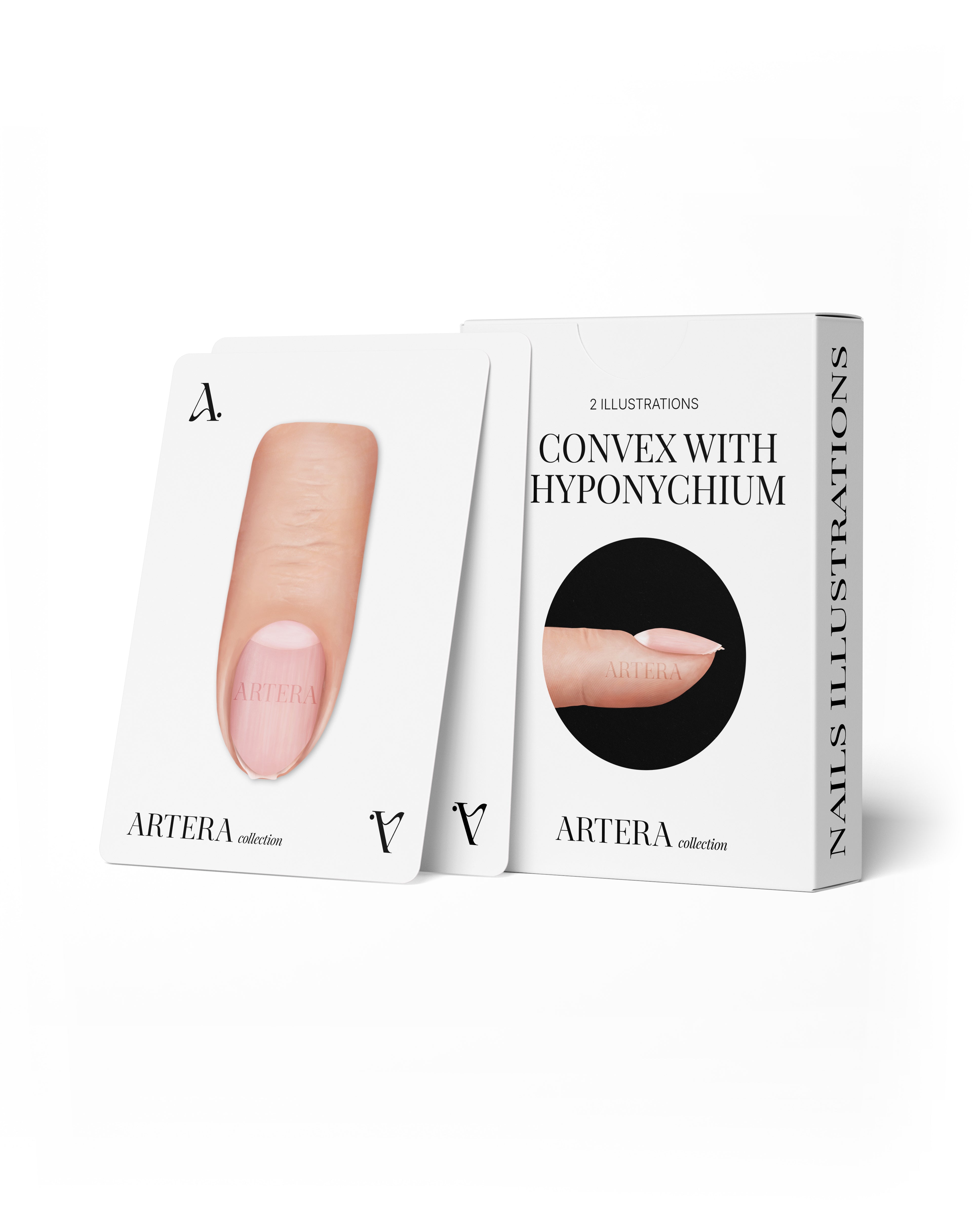 Convex nail plate (with hyponychium) - 2 illustrations