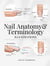 Nail Anatomy & Terminology - 7 Advanced Illustrations