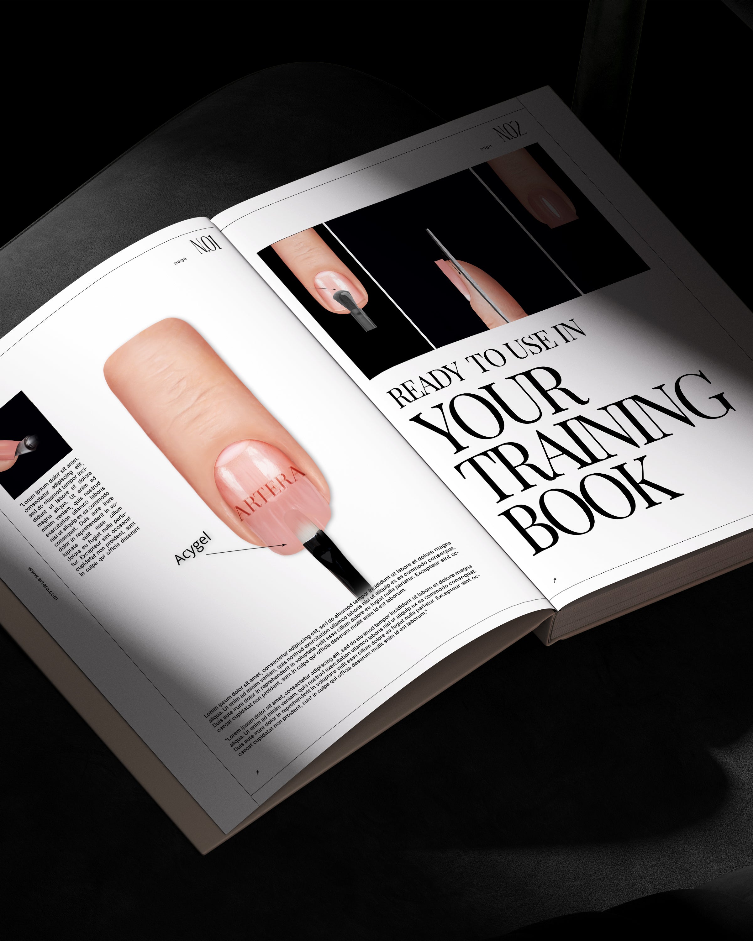 Hybrid Technique - Complete Technique 12 illustrations