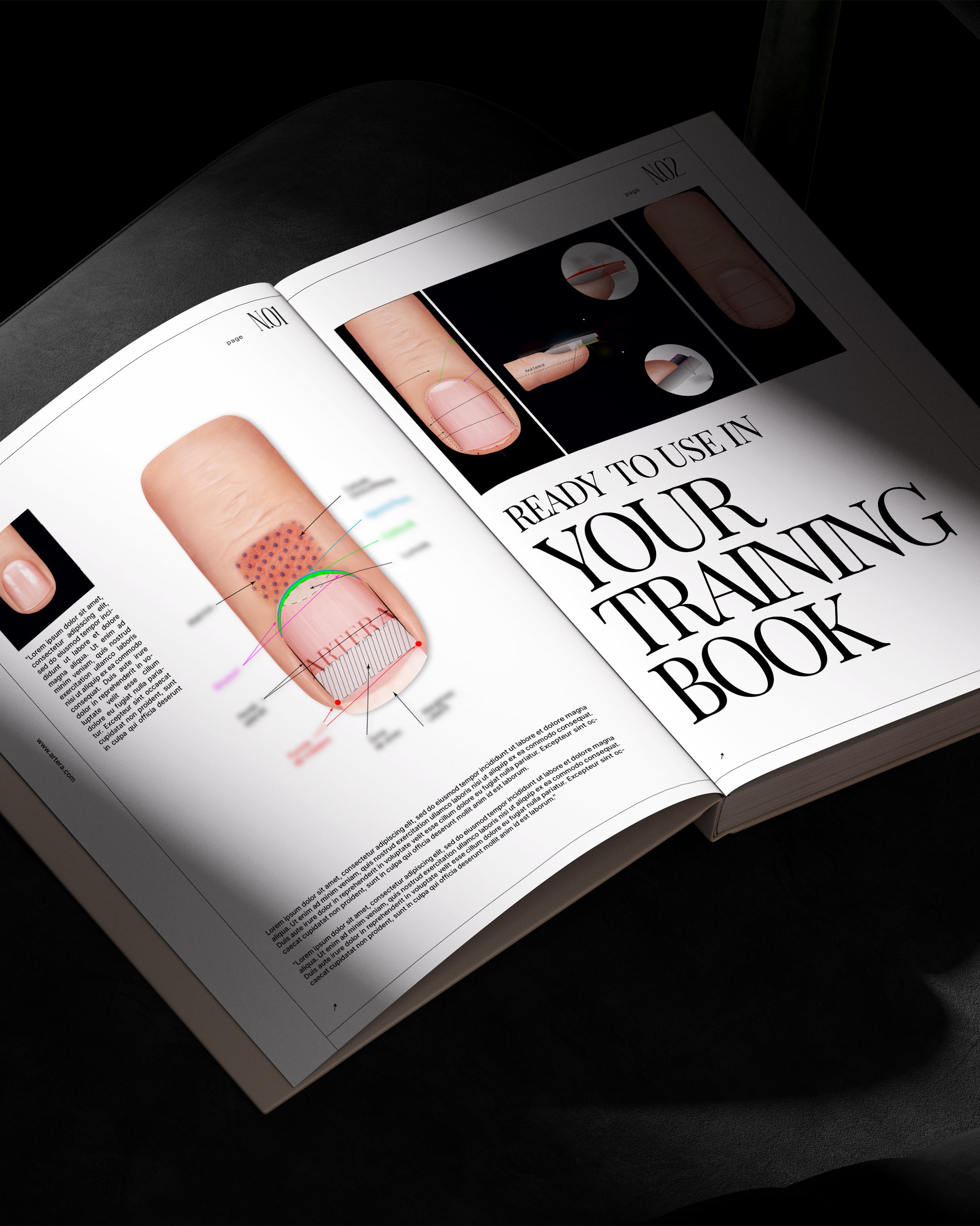 Anatomia și Terminologia Unghiei - Set 4 ilustrații